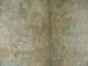 Plasters and Olde World Finshes