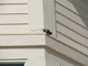Repair Carpentry and Drywall