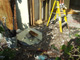 Repair Carpentry and Drywall