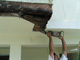 Repair Sheet Rock and Stucco