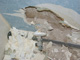 Repair Sheet Rock and Stucco