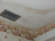 Water and Mold Damage