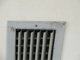 Water and Mold Damage