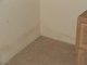 Water and Mold Damage