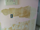 Water and Mold Damage