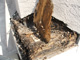 Water and Mold Damage