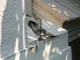 Water and Mold Damage