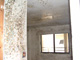 Water and Mold Damage
